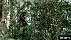 FILE - A fighter from the FDLR rebel group stands guard deep in the bush of eastern Congo, Feb. 6, 2009.