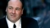 Muere actor de Los Sopranos