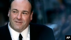 James Gandolfini trabajó el año pasado en la cinta ganadora del Óscar Zero Dark Thirty.