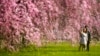 Expertos prevén una primavera más agradable de lo normal para EEUU