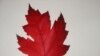 Quiz - The Last Leaf
