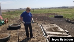 Joyce Rydstrom of Alta, Iowa, had to shut the doors to her hair salon in March last year amid the coronavirus pandemic. These days, she spend some of her free time gardening.