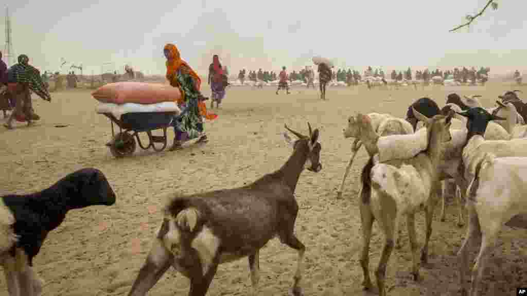 የአውሮፓ ኮሚሽን በኤል ኒኞ ምክኒያት ለተከሰተው ድርቅ ምላሽ €122.5 ሚልዮን እንደሚሰጥ ይፋ አደረገ
