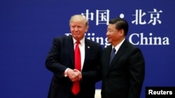 美国总统川普和中国国家主席习近平在北京人大会堂会见商界领袖时握手。（2017年11月9日）