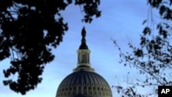 Estados Unidos: Nova maioria prepara-se para assumir a Câmara dos Representantes