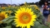 16x9 Image