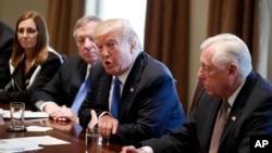 President Donald Trump speaks during a meeting with lawmakers on immigration policy in the Cabinet Room of the White House, Jan. 9, 2018, in Washington.