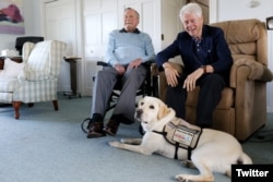Arhiva - Bivši republikanski predsednik Džordž Buš stariji, levo i bivši predsednik Bil Klinton, tokom njegove posete Bušovima, poziraju za fotografiju sa Salijem, labrador retriverom, koji je bio prvi pomoćni pas Bušovih u Kenebankportu, Mejn, 25. juna 2018.