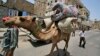 Virus MERS Mematikan Menyebar Lewat Teluk Arab 
