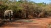 With Rains Erratic, Competition for Water Increases in Southern Sri Lanka