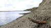 Saving Wild Areas May Have Unexpected Results