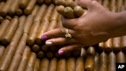 FILE - A sorter selects cigars at the H. Upmann cigar factory in Havana, Cuba, March 2, 2017. 