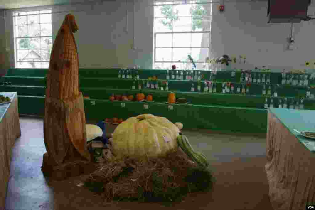 Esta enorme calabaza fue premiada en una competencia de verduras. (Foto: Mariana Ardiles).