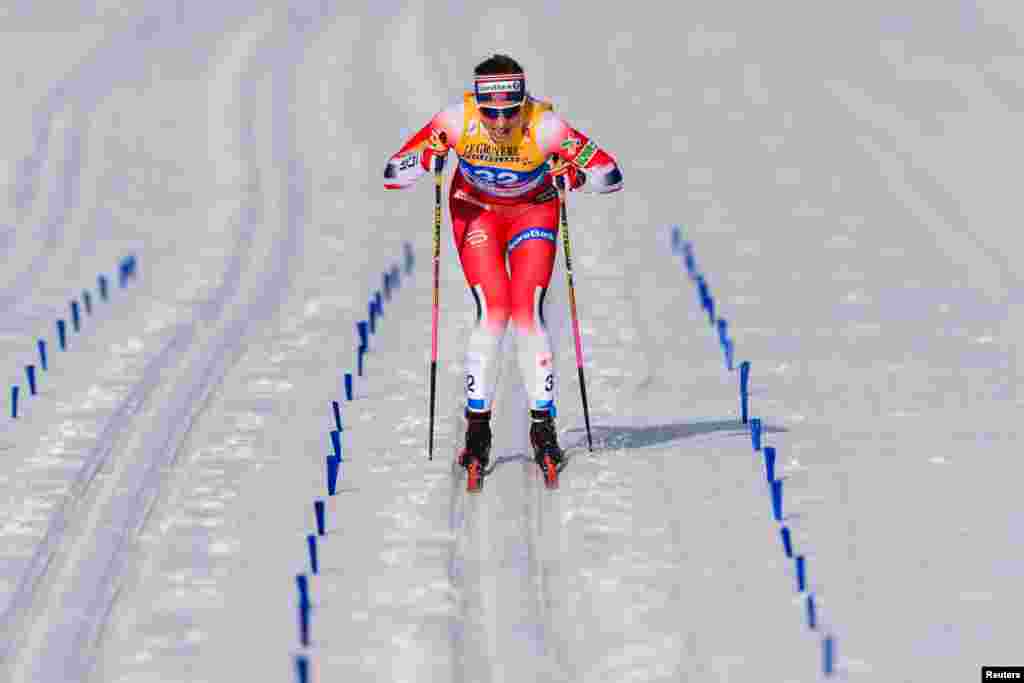 오스트리아 인스브루크에서 열린 FIS 노르딕월드스키챔피언쉽 여자 10km 클래식에서 노르웨이 선수가 경기하고 있다.