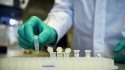 FILE - An employee of German biopharmaceutical company CureVac demonstrates research workflow on a COVID-19 vaccine at a laboratory in Tuebingen, Germany, March 12, 2020. (Reuters)