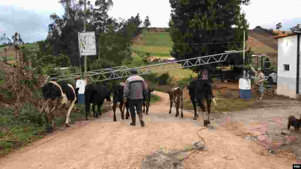 Urbina, pueblo fronterizo entre Ecuador y Colombia, es uno de los pasos irregulares, donde la gente atraviesa para evitar los controles migratorios. (Foto: Alejandra Arredondo/VOA)