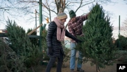 Inflation Christmas Trees