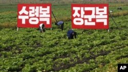 북한 황해북도 사리원의 협동농장.