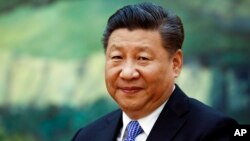 FILE - Chinese President Xi Jinping meets Britain's Prince Andrew at the Great Hall of the People in Beijing.