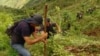 ARCHIVO - Al menos el 47 % del norte de Centroamérica —que abarca Honduras, Guatemala y Belice— tenía las mismas características favorables para el cultivo de coca que muchas regiones de Colombia, como las montañas del Cauca, vistas en esta imagen de 2006. 