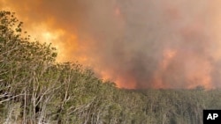 Forêt en feu autour du lac Conjola, en Australie, le 2 janvier 2020. (AP)
