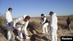 Son permanentes las búsquedas en fosas comunes en territorios de violencia de México.
