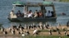 American Abducted in Ugandan National Park