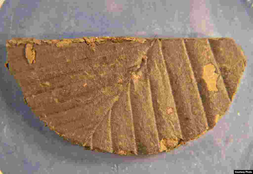 This 33,800 year-old leaf dated by radiocarbon found in Lake Suigetsu sediment extends radiocarbon dating by thousands of years. (Credit: Richard Staff)