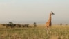 Uganda’s Little-Known Gem to Become Accessible