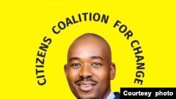 UMnu. Nelson Chamisa 
