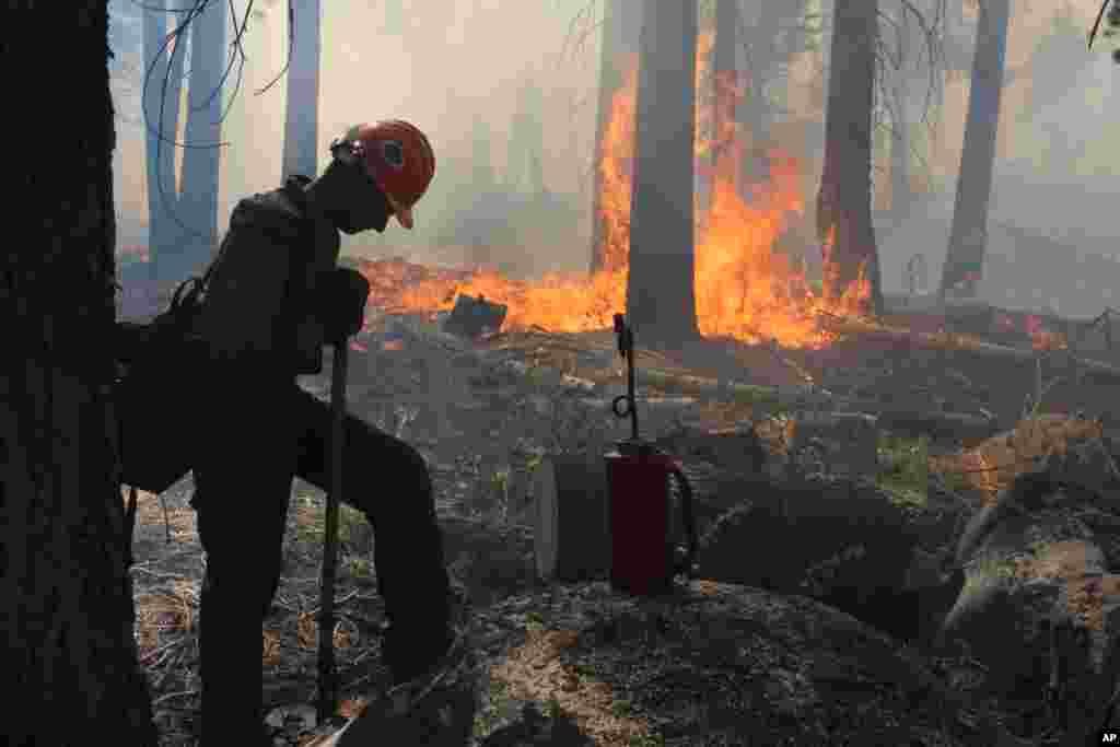 A Hotshot fire crew member rests near a controlled burn operation at Horseshoe Meadows, as crews continue to fight the Rim Fire near Yosemite National Park in California, Sept. 4, 2013. (U.S. Forest Service, Mike McMillan)