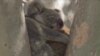16x9 Image