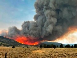 A wildfire burns from the Patton Meadows fire in southern Oregon, Aug. 12, 2021. The fire west of Lakeview, Ore., near the California border, started with a lightning strike Aug. 12. (U.S. Forest Service)