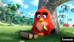 Red, personaje principal de "Angry Birds: La película", se comió el almuerzo en la taquilla del fin de semana.