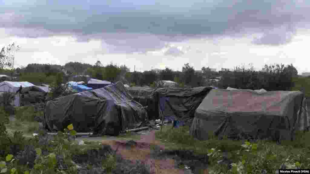 ព្រៃក្នុងក្រុង Calais ប្រទេសបារាំង។