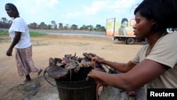 FILE - A woman dries bushmeat - which includes animals such as bats, antelopes, squirrels, porcupines or monkeys - along the highway near Yamoussoukro, Ivory Coast, March 29, 2014. 