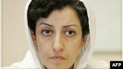 نرگس محمدی