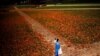 Europeans Face More Restrictions as COVID Cases Surge 