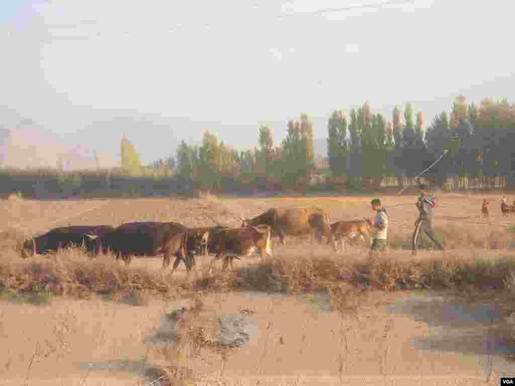 Kyrgyzstan Eid