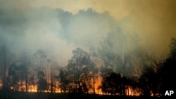  Un feu de brousse brûle à Bodalla, Nouvelle-Galles du Sud, Australie, le 25 janvier 2020.