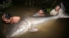 ប្រជានេសាទ៖​ ប្រភេទ​ត្រី​ដែល​ត្រូវ​អភិរក្ស​បន្ត​បាត់​បង់​ ដោយសារ​បទល្មើស​នេសាទ​និង​ហេតុផល​ជីវភាព