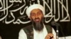 قاسمی: بستگان بن لادن را به خواست سعودی از ایران اخراج کردیم
