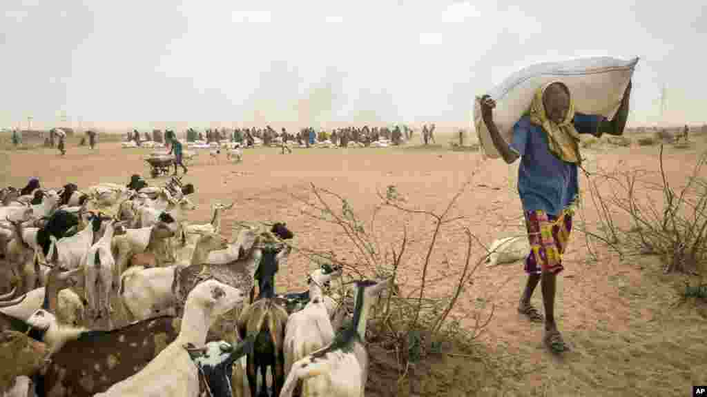 የአውሮፓ ኮሚሽን በኤል ኒኞ ምክኒያት ለተከሰተው ድርቅ ምላሽ €122.5 ሚልዮን እንደሚሰጥ ይፋ አደረገ