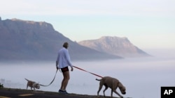 Une femme promène ses chiens au Cap, en Afrique du Sud, le vendredi 1er mai 2020, alors que le gouvernement entamait un assouplissement progressif de ses mesures strictes du confinement visant à réduire la propagation du coronavirus. 