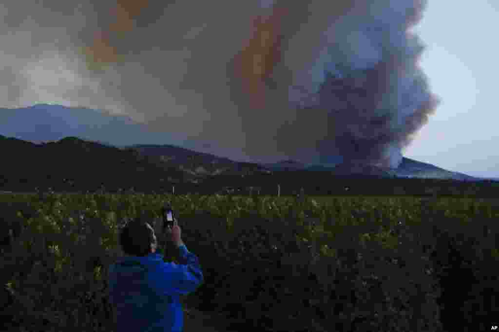 Люп Роблес фотографує дим від пожежі в Санта Паулі, штат Каліфорнія, 7 грудня 2017 року.