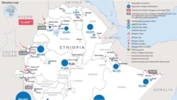 ኣብ ከተማ ዳባት 5 ኤርትራውያን ስደተኛታት ተኣሲሮም