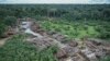 This May 8, 2018 photo released by the Brazilian Environmental and Renewable Natural Resources Institute (Ibama) shows an illegally deforested area on Pirititi indigenous lands as Ibama agents inspect Roraima state in Brazil's Amazon basin. 