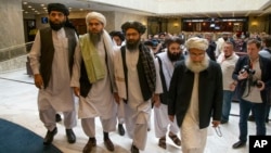 عکس (آرشیف)