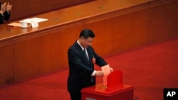 Shugaba Xi Jingping a lokacin da yek kada kuri'arsa kan amincewa da sabon tsarin