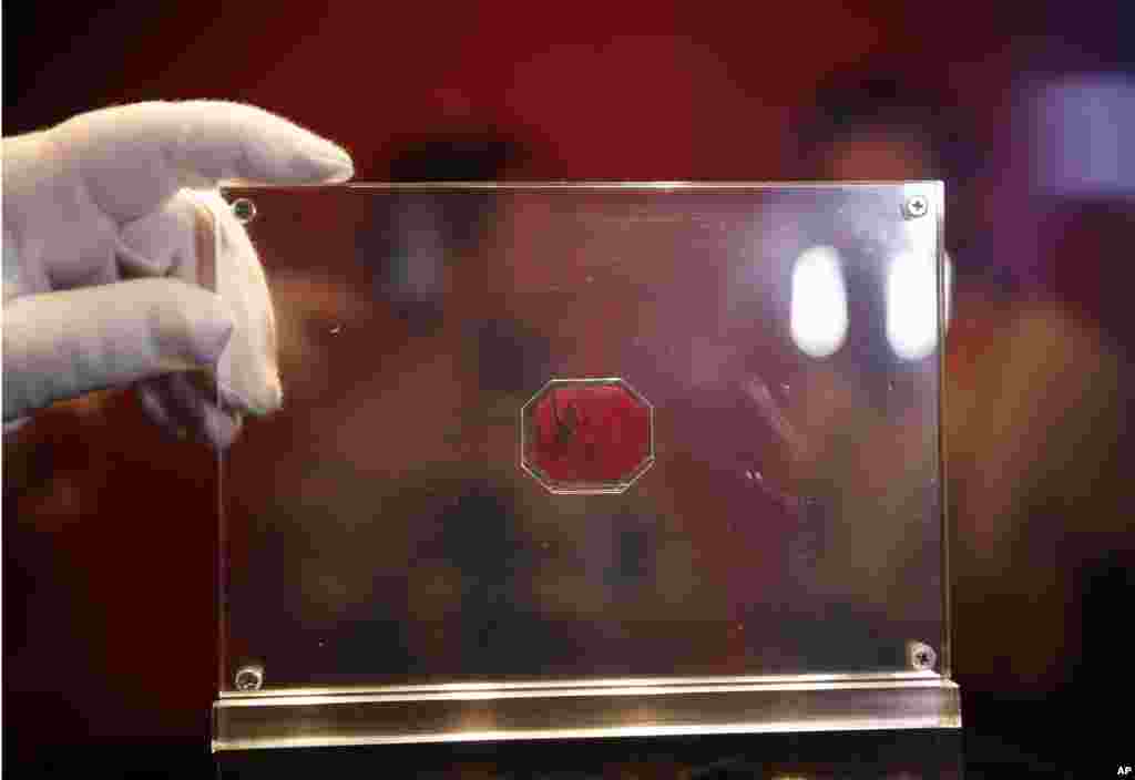 David Redden, Vice Chairman of Sotheby's auction house, holds the British Guiana One-Cent Black on Magenta stamp in central London. The sole surviving one-cent of the entire 1856 issue was rediscovered by a 12-year-old Scottish boy living in South America in 1873. It is estimated to fetch between $10-20 million, which would mark a new world auction record for a stamp when will be offered in a New York sale on June, 17, 2014.